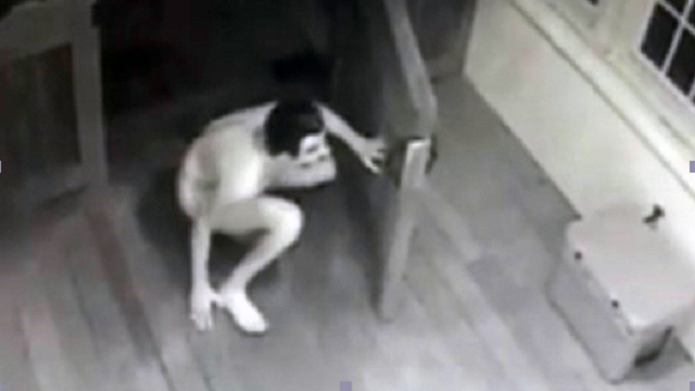 Embedded image permalink