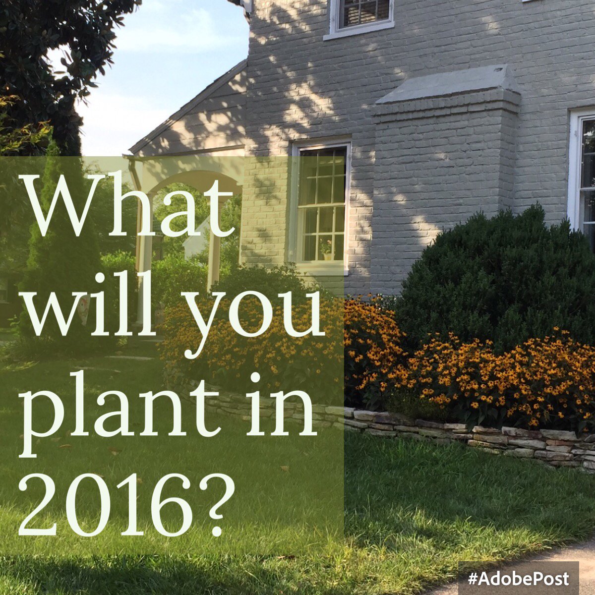 Plant More Plants tweet media