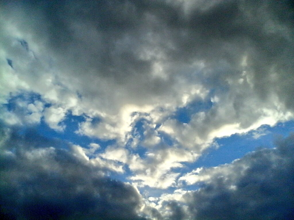 GlobalDoves's tweet image. May all your dreams come true in 2016!