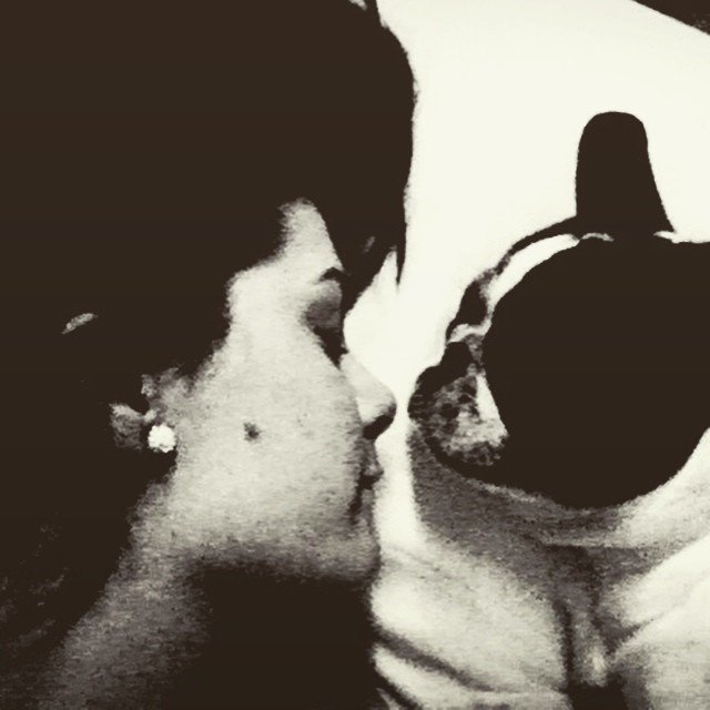 AIKOEMIYAYIS's tweet photo. No se ustedes pero nosotros nos vamos a dormir!! zzz #goodnightmention #lovedogs #insomnio #PostNewYear #goodbye https://t.co/NKHywBPr99