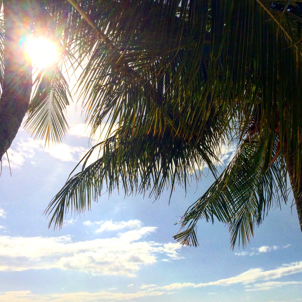 Wandererzzz's tweet photo. Ici, on démarre 2016 sous le soleil ! Et vous, dans quel coin du monde êtes vous ? https://t.co/HxETTpCdh1