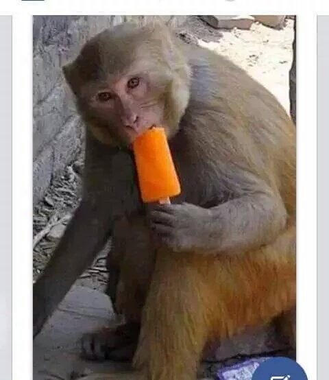 libi_thomas's tweet image. 