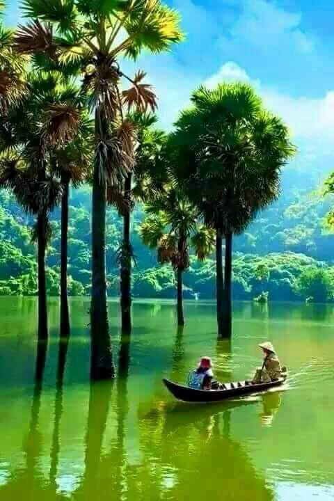 libi_thomas's tweet image. 