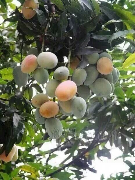 libi_thomas's tweet image. 