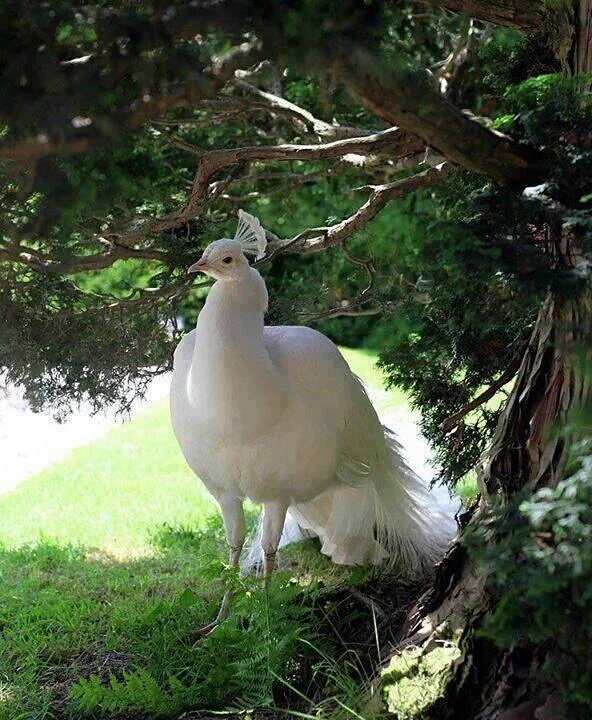 libi_thomas's tweet image. 