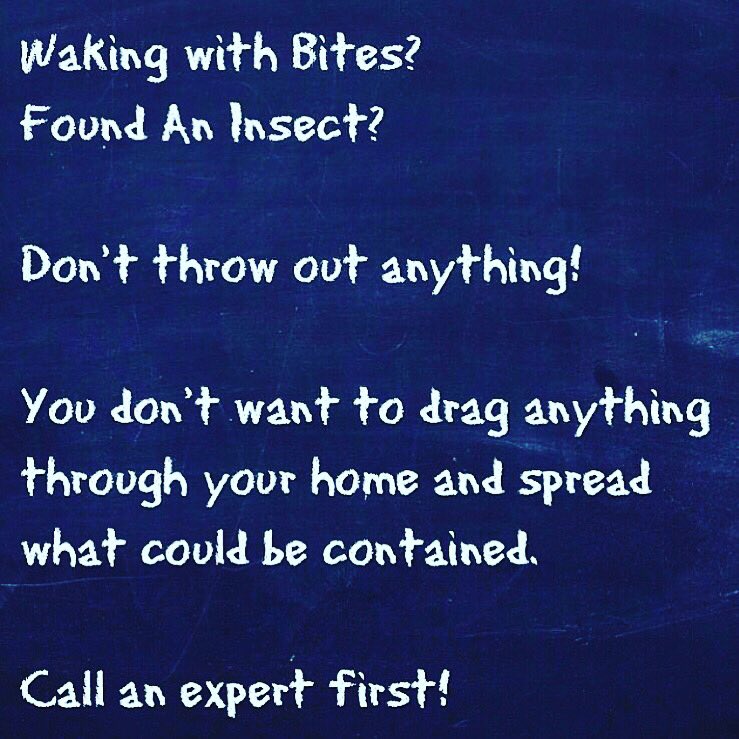 TeresaRSosa04's tweet image. RT GotchABedBugs #bedbugtips #travel#bedbugpics #bedbugs #gotcha 855.GO.GOTCHA #MONTAUK TO #MANHATTAN