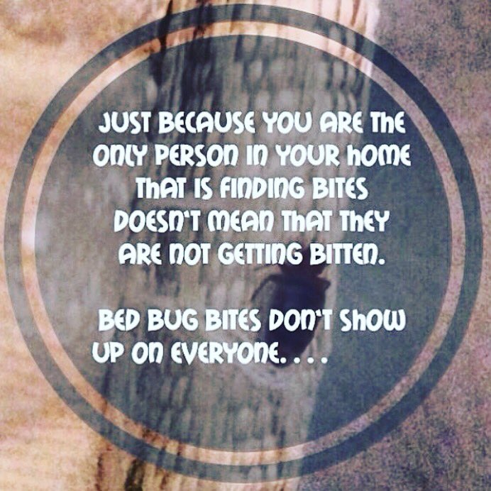 GotchABedBugs's tweet image. #bedbugtips #bedbugs #bedbugtraveltips #bedbugsnewyork #nyc #gotcha