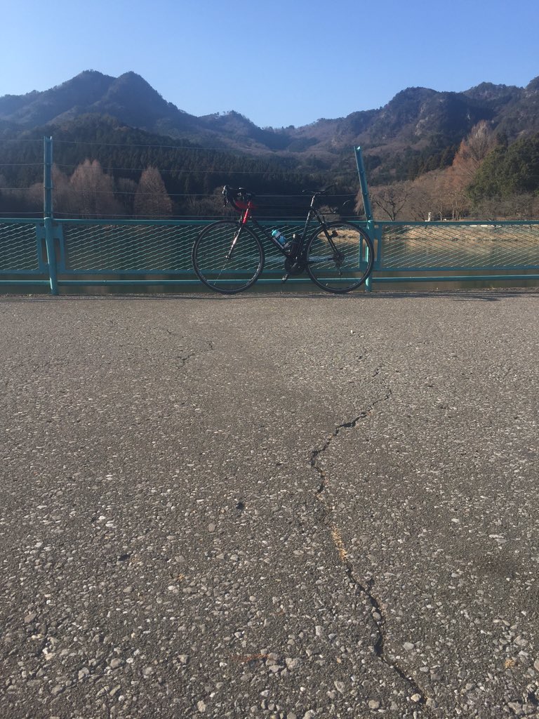 森林公園まで走ってきた