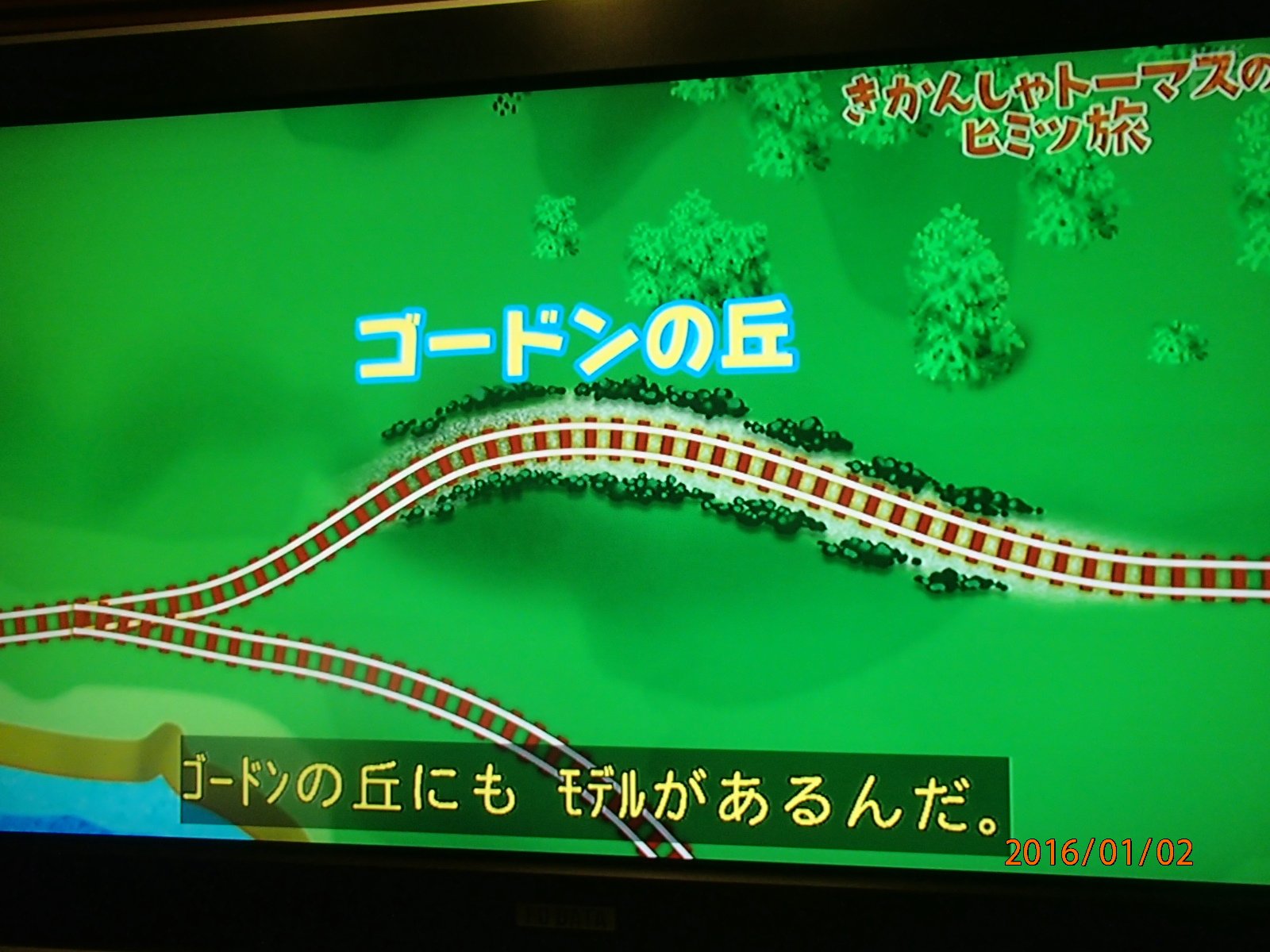 トリざかな on X: 