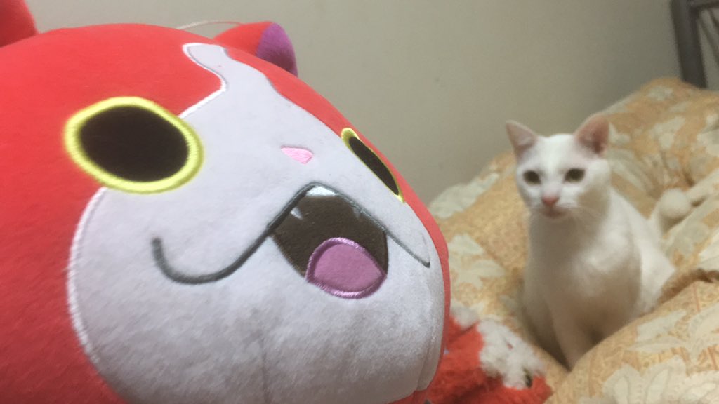 まさか姪っ子が妖怪ウォッチ卒業してるとは… おじさん、ごめんね(´・ω