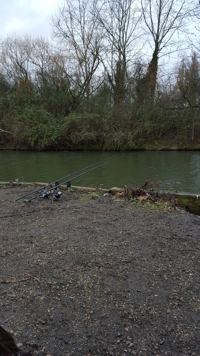 CarpingCookie's tweet photo. Back out on the bank, <>< <>< https://t.co/g5coHM3Q6v
