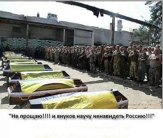 У торговца наркотиками в Киеве изъято каннабиса на 400 тысяч, - Нацполиция - Цензор.НЕТ 3607