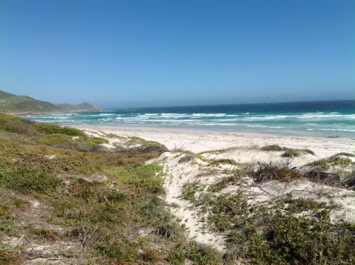 Bruschi_P's tweet photo. Sud Africa https://t.co/sQHXjCPO9X