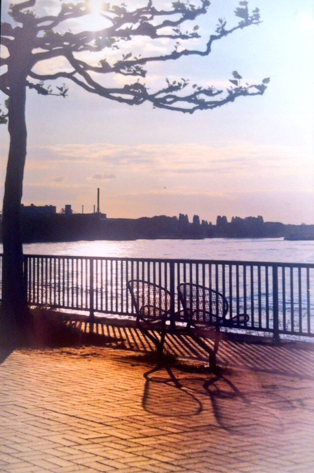 J_Photography_M's tweet photo. Ein schöner Sonnenschein 🌞 in #Düsseldorf am #Rhein 🌊 https://t.co/kOpb0DPFpG