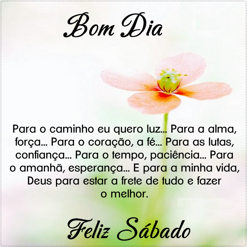 flor_will tweet picture