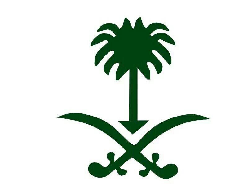 mhammadsultan's tweet photo. حفظك الله يا أغلى الأوطان #السعودیه https://t.co/AZWbd0Ki5y