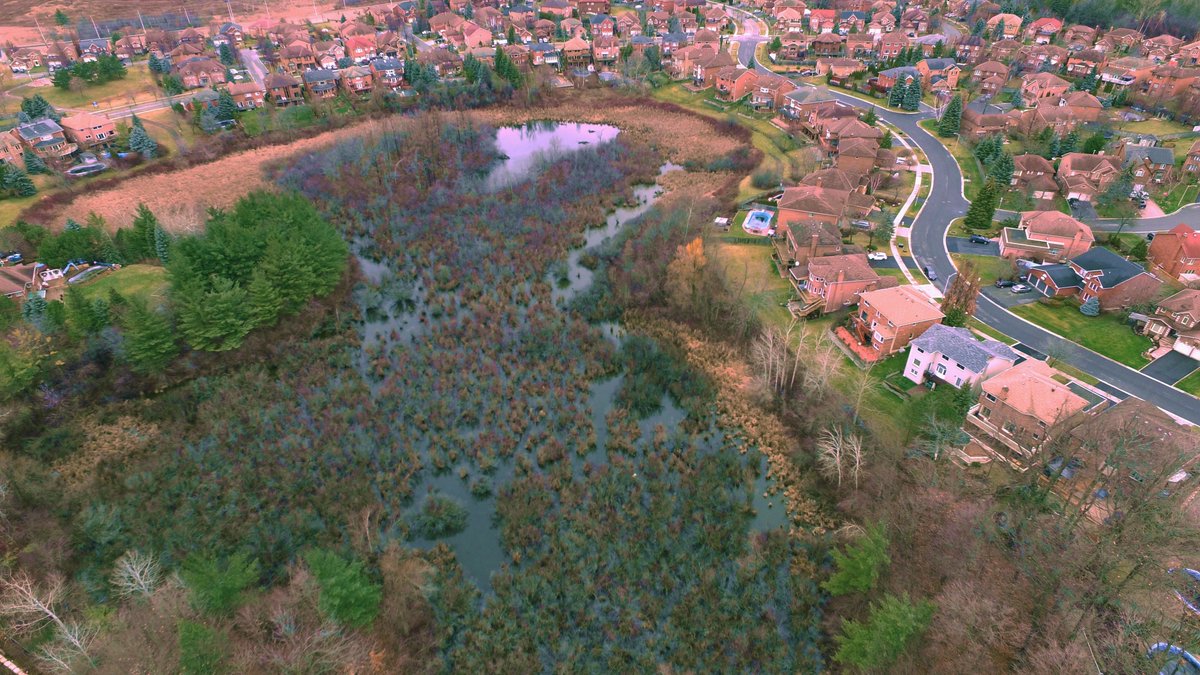 iflydronesca's tweet photo. Before Edit, After Edit #iamdji #nhc @dronethusiast @DJIGlobal #Brampton @CityBrampton https://t.co/lQMzpE77L3
