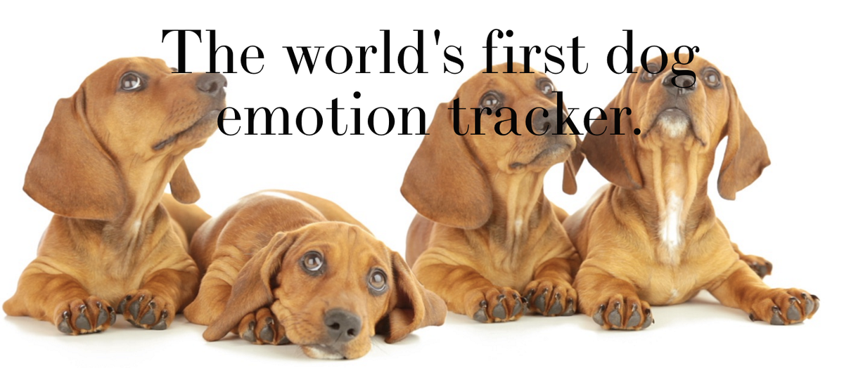 Cornell Tech tweet media