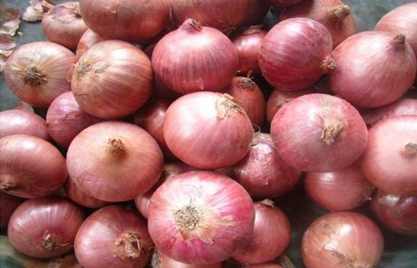 Farm Boy Also Known As Purple Onions These Sweet Red Onions Are Often Used On Salads Burgers And Taste Great Pickled T Co Nhg2qrrv Farm Boy Also Known As Purple Onions These Sweet Red Onions Are Often Used On Salads Burgers And Taste Great Pickled T Co Nhg2qrrv