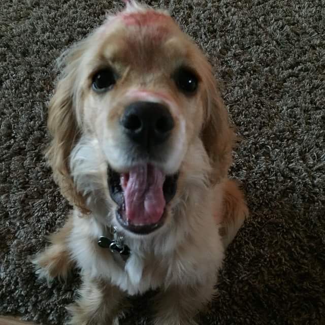 AaronFletcher7's tweet image. Big happy birthday shout out to my dude, #theBIG1