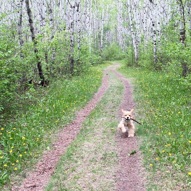 AaronFletcher7's tweet image. Big happy birthday shout out to my dude, #theBIG1