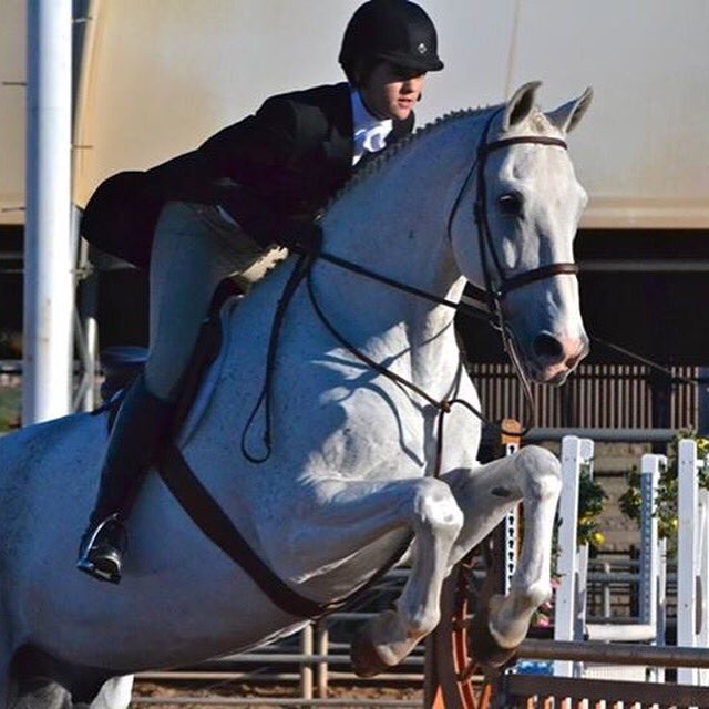 AZHuntJumpAssoc's tweet photo. 2015 #AHJA Large #JuniorHunter Champion -Romance & Samantha Collins https://t.co/SqjaZhGjNT