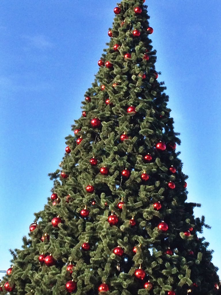 Диана Александрова (@alexandrovadina) | Twitter