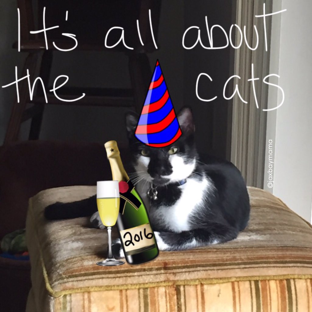 Happy #Caturday #2016 !! 🎉