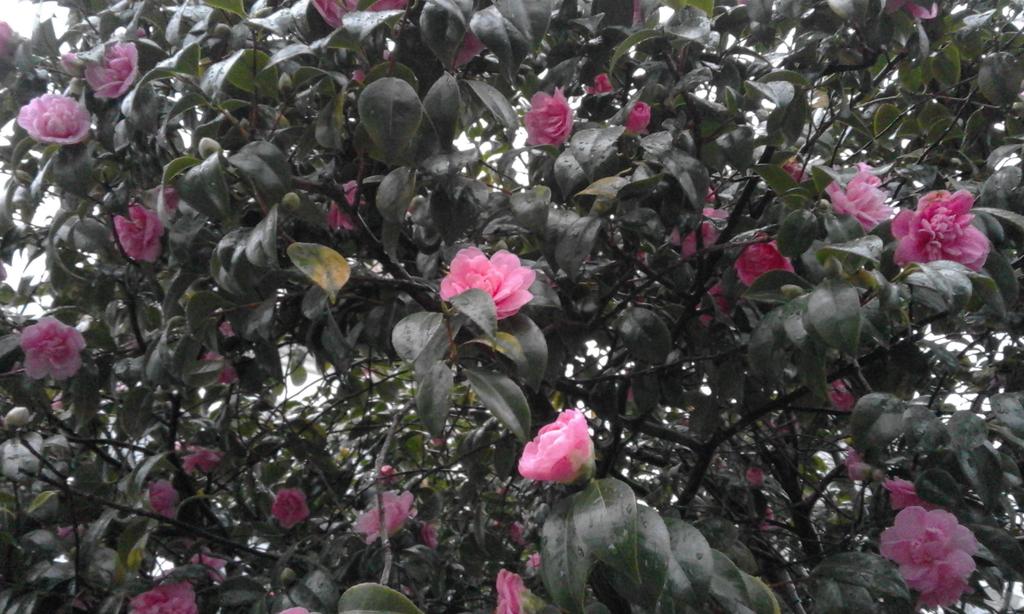 TitusWrites tweet picture