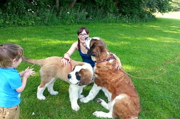 Bark_Blog tweet picture