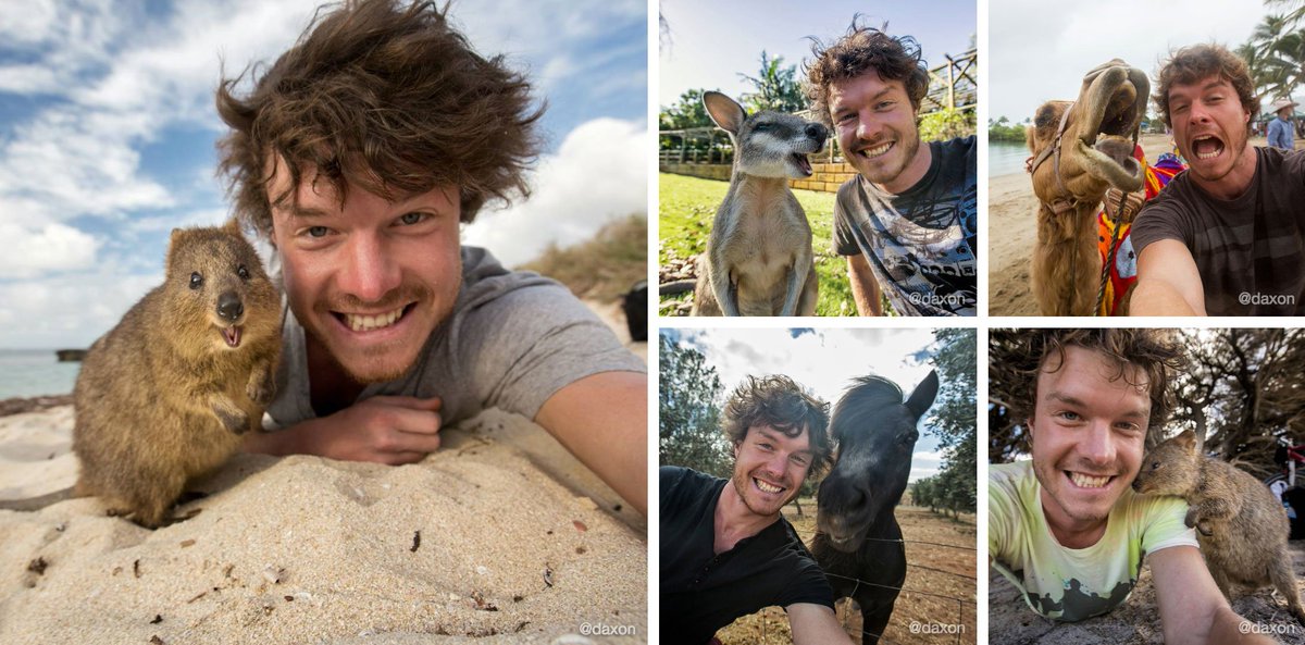 Instagram tweet media