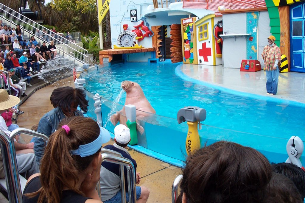 SeaWorldBenM's tweet photo. Anyone else remember this show?? #FoolsWithTools https://t.co/UpuZvZStx6
