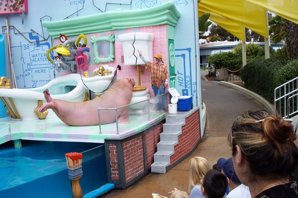 SeaWorldBenM's tweet photo. Anyone else remember this show?? #FoolsWithTools https://t.co/UpuZvZStx6