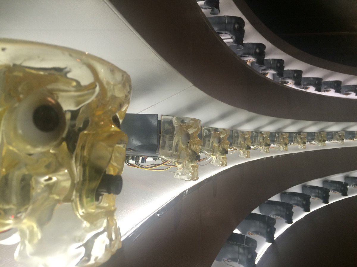 yolandapss's tweet image. Exposición #HumansCCCB : explorando el futuro de nuestra especie y los límites... swarmapp.com/c/ikiqP295ueO