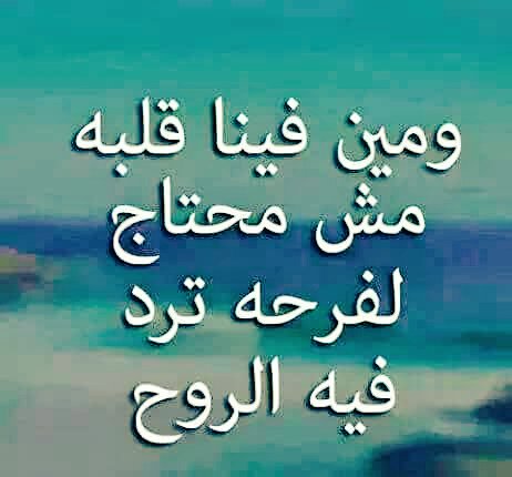 IKimo42's tweet image. 