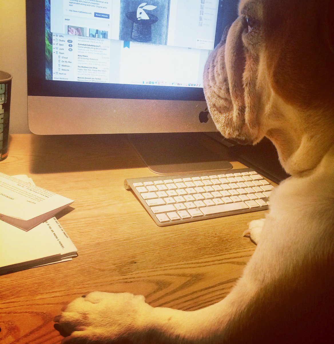 Lew_Dogs tweet picture