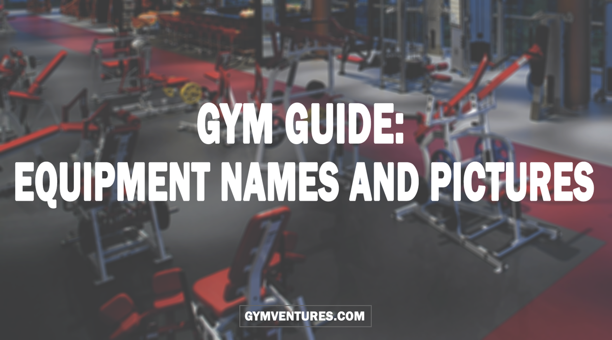 gymventure's tweet image. #GymGuide: #Equipment Names and Pictures
gymventures.com/gym-equipment-…
Master the #gym with this handy #exercise #guide.
