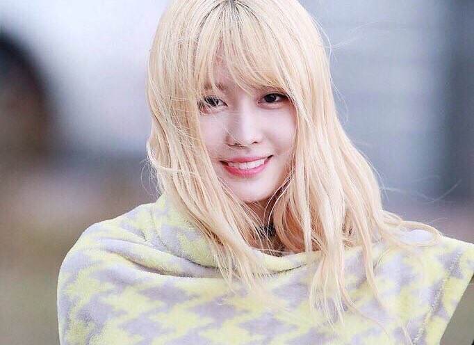 momo__twc's tweet photo. https://t.co/t3NIPbavti