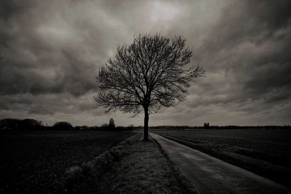 Happy new year to all of you. x