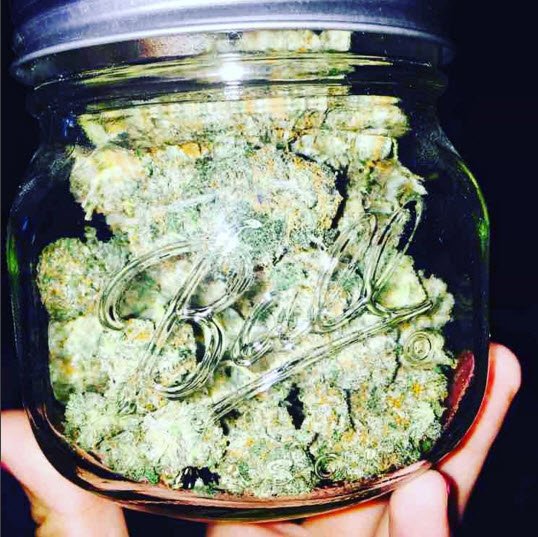 dubyapp's tweet photo. Ball of joy π #_high #highlife #fourtwenty #legalize #flymetothemoon #loudpack #greenrush #higherthanmost π₯ https://t.co/K8qws9cgn0