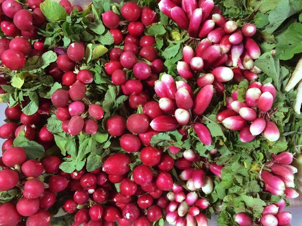 Yes, vegetables are good for you and do wonderful things for your body; but they're also s… ift.tt/1YWXYla