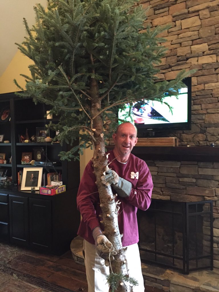 "Hey Jenny, I got you a tree for your room. It'll give you more oxygen"