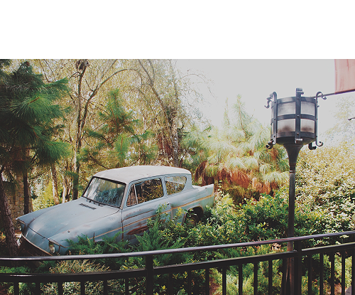 Hogwartssite's tweet photo. #EsteAñoQuiero ir a Orlando. https://t.co/sjWTNnQMte