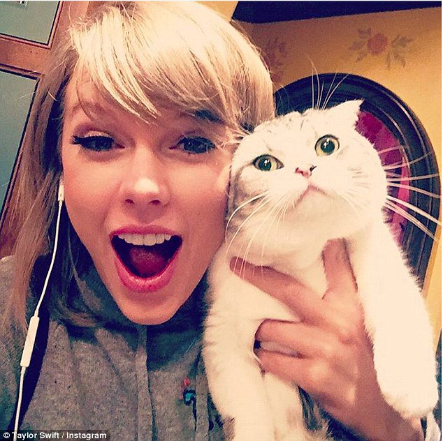 JessicaChicJCB's tweet photo. Que linda selfie da Taylor Swift! E ao lado dela um fofo gatinho branco!
#AmorPorGatinhos
#MelhorSelfieComUmAnimal https://t.co/ypxw217wdz