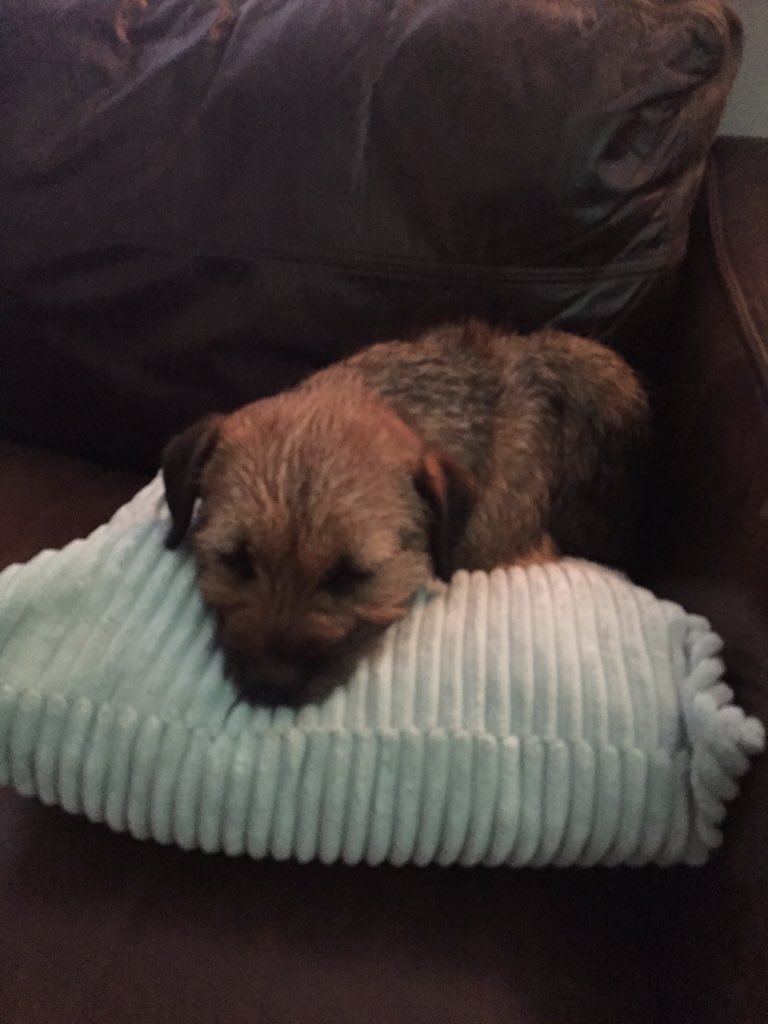 Rubytheborder's tweet image. Finally given in. It's been a long festive spell! Might try dry January!!