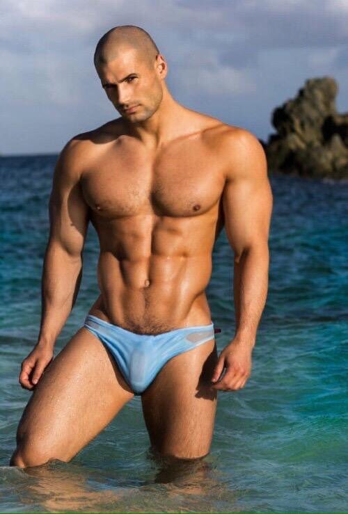 See thru speedo hotsell
