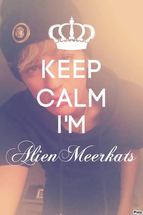 DBirtsch's tweet photo. #AlienMeerkatsForever ❤ https://t.co/gBT4oBAqKp