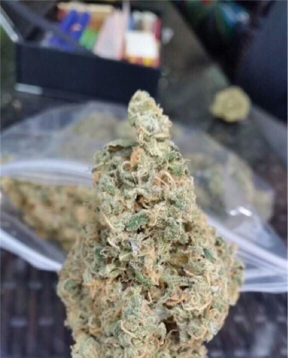 WeedReview420's tweet photo. Maui Waui(Sativa)- Extremely Happy,Uplifted,Energetic. Helps w/ Stress&amp;Depression. Has a Tropical/Sweet taste. 6/10 https://t.co/yrgEIo3rx3
