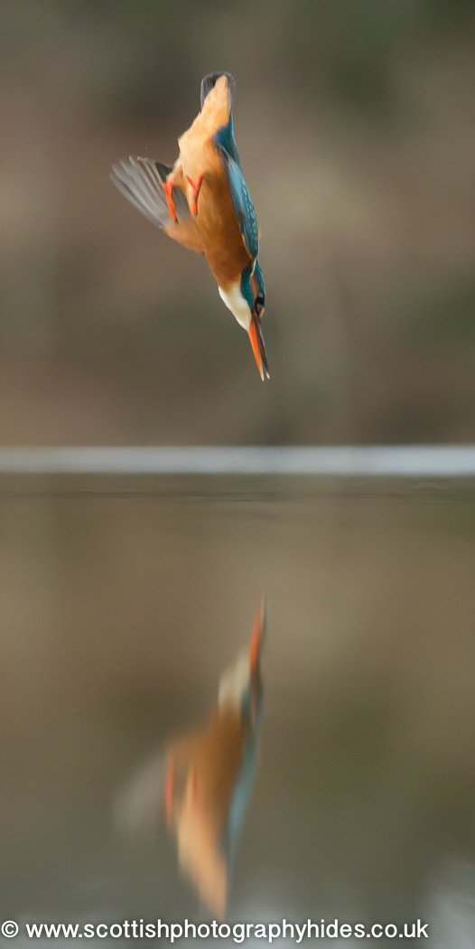 Constant visits now Happy New Year to all