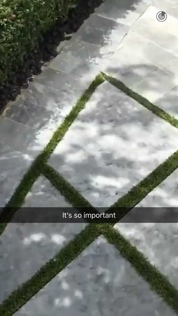 virAI's tweet photo. get you someone that treats you like DJ Khaled treats his plants https://t.co/LFCpJna4v1